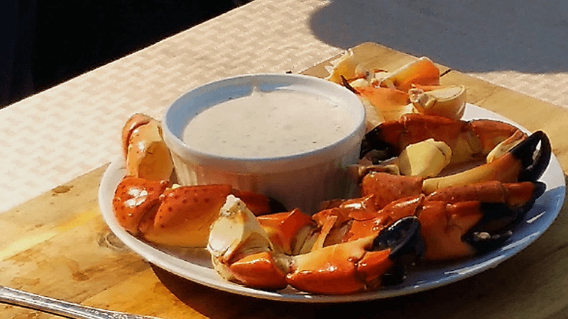 Worth The Hype: Stone Crab Claws - Florida's Golden Treasure