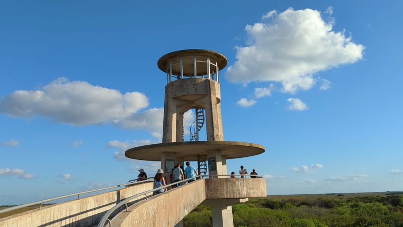 Shark Valley Tram Tour Connection