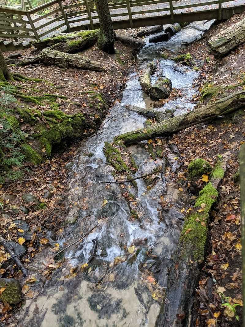 Springs Temperature And Touch