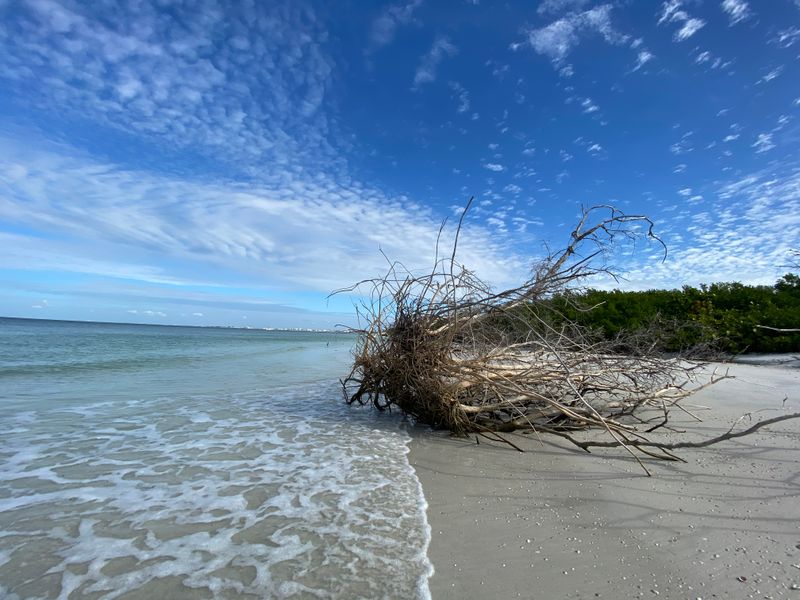 Respect The Preserve, Keep The Magic