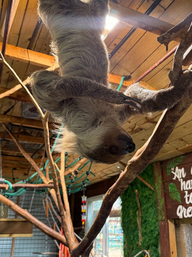 It Is Only About An Hour From Orlando, Making It A Perfect Day Trip