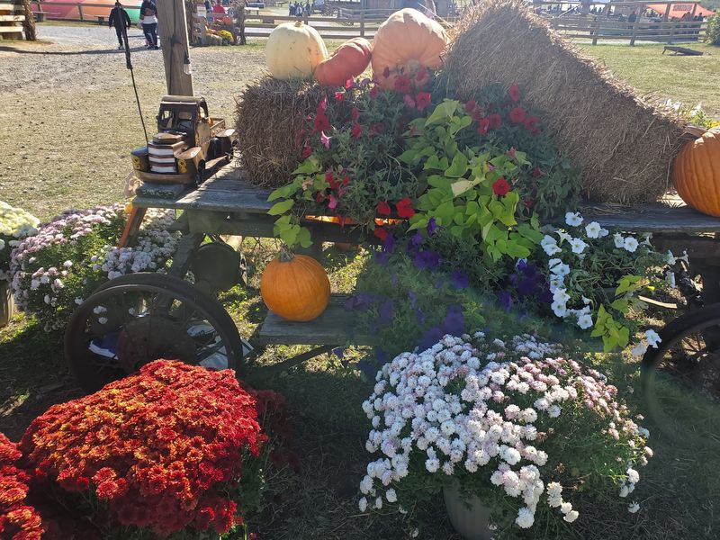 Oversized Fall Displays Steal The Spotlight