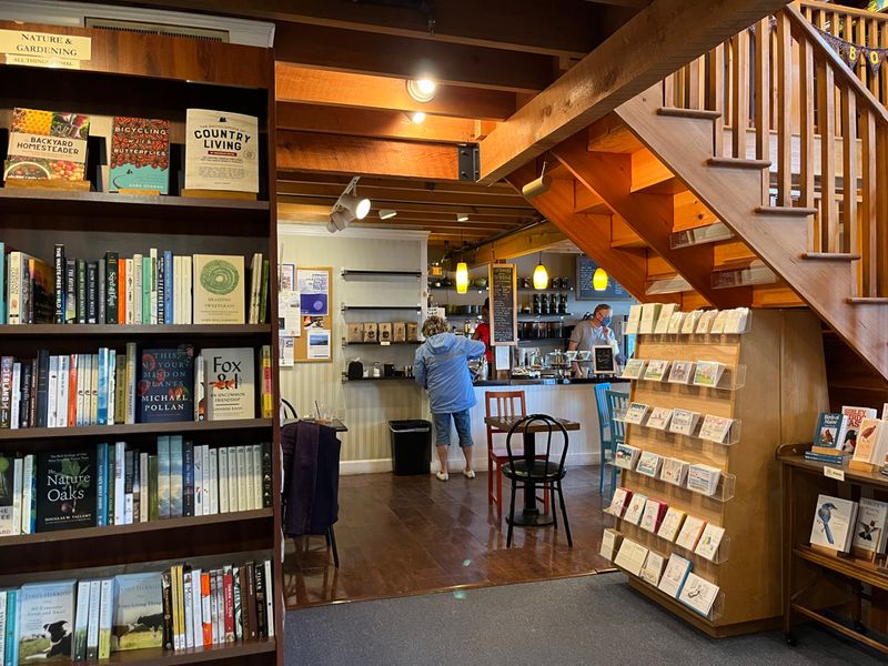 Owl & Turtle Bookshop Café, Camden Owl & Turtle Bookshop Café, Camden