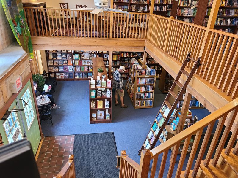 Owl & Turtle Bookshop Café, Camden Owl & Turtle Bookshop Café, Camden