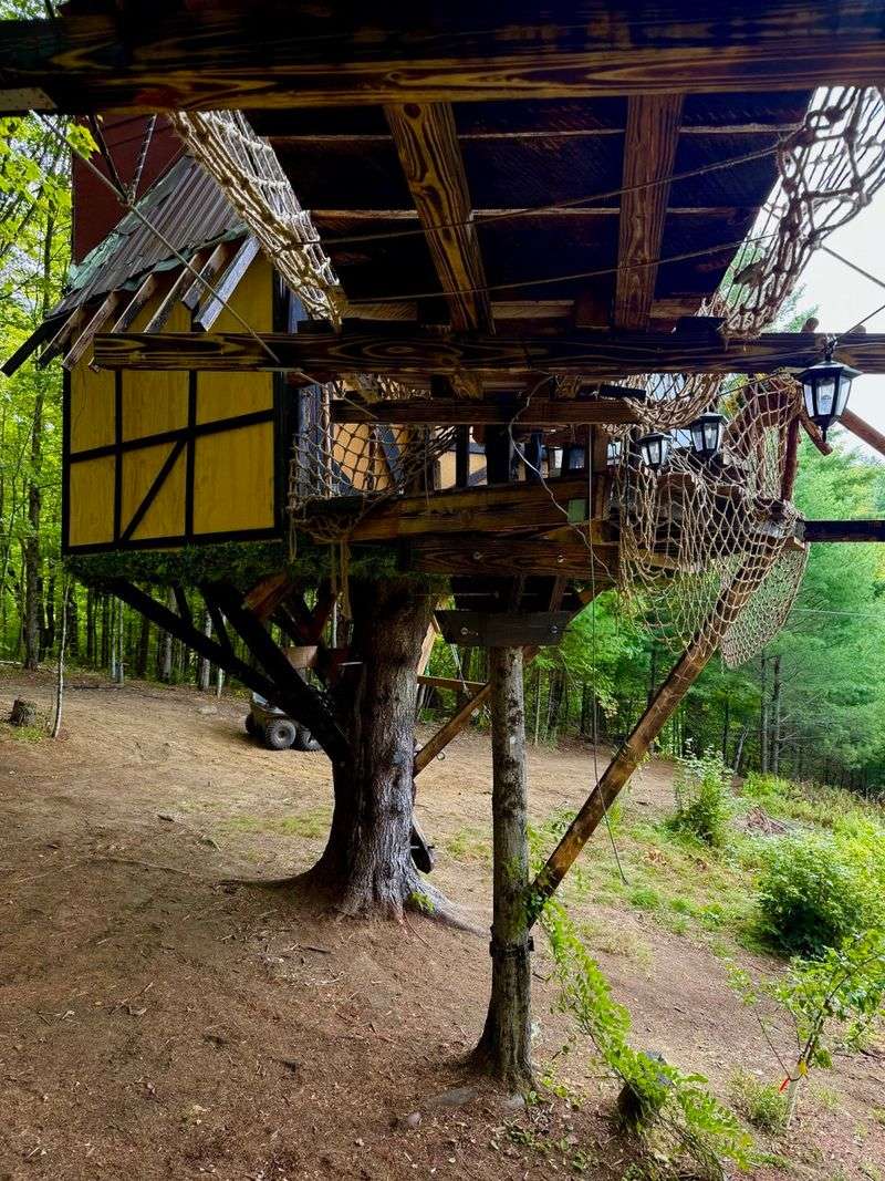 Owl's Rooted Castle