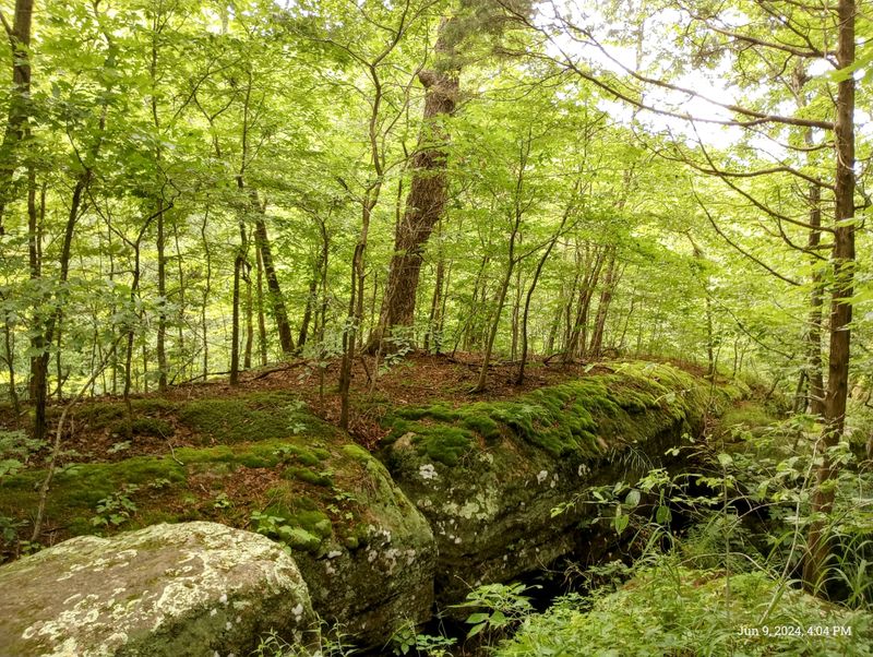 The Hopewell Stone Wall Mystery