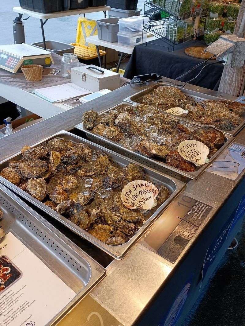 Oysters Shucked Fresh While You Wait Oysters Shucked Fresh While You Wait