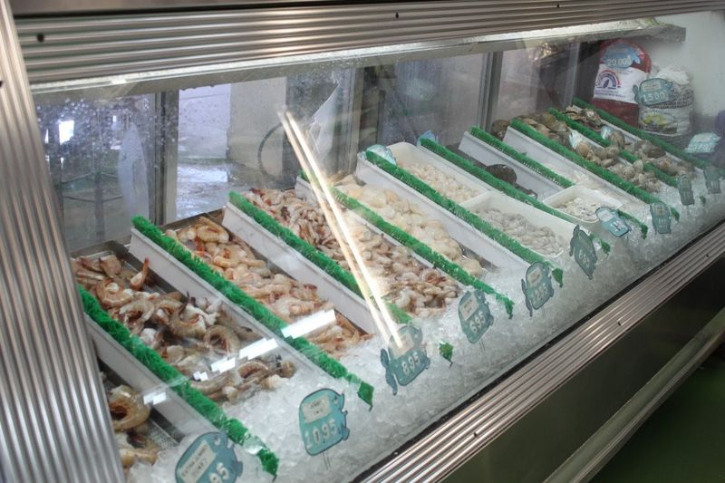 Oysters So Fresh They Changed My Standards Forever Oysters So Fresh They Changed My Standards Forever