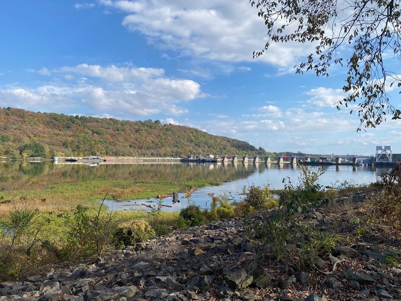 Ozark Ozark
