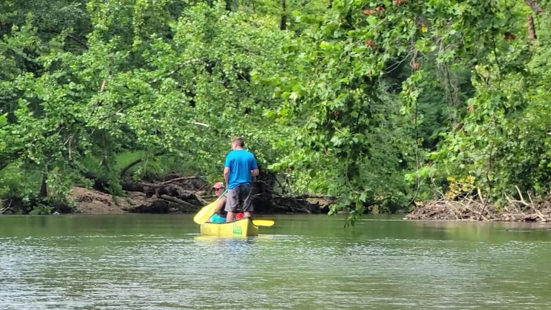 Ozark Outdoors Resort On The Huzzah Creek