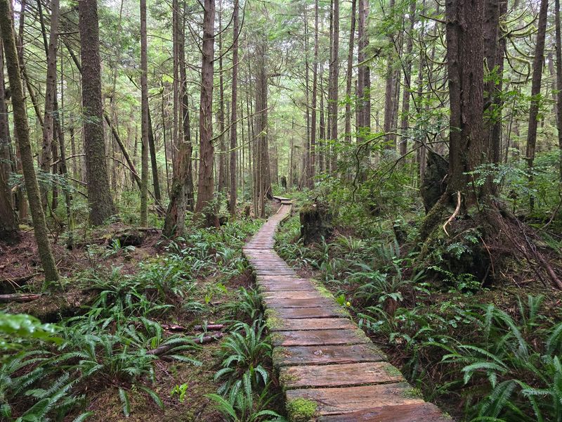 Ozette Triangle Loop, Olympic National Park Ozette Triangle Loop, Olympic National Park