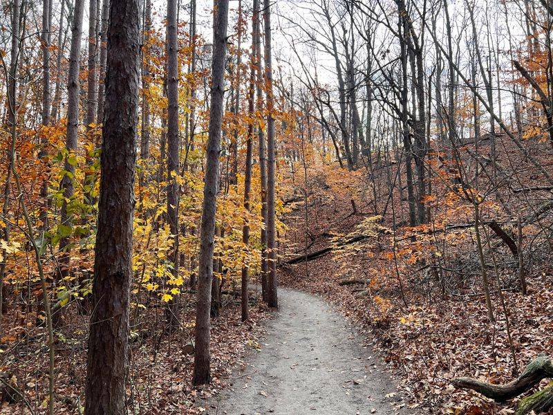 P.J. Hoffmaster State Park