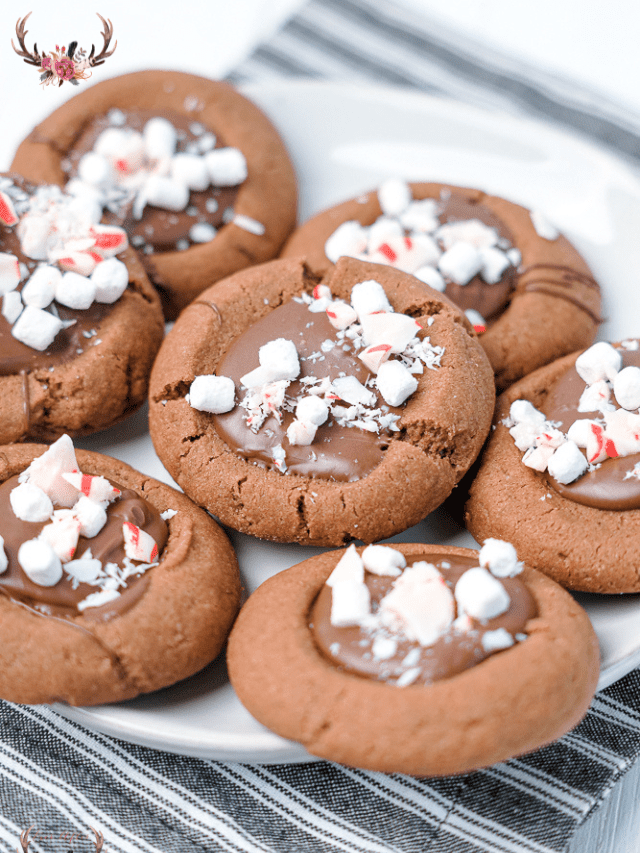 chocolate christmas cookie
