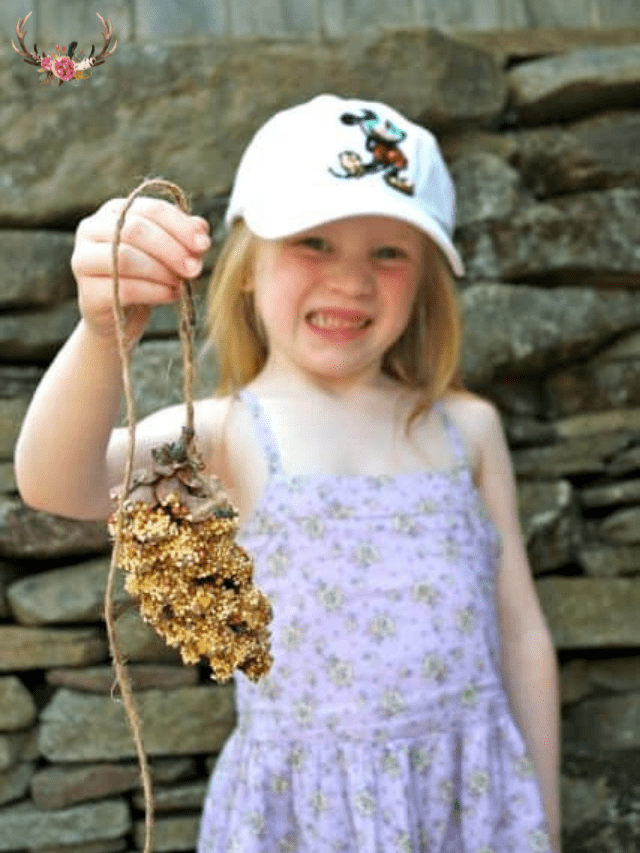 DIY Bird Feeders