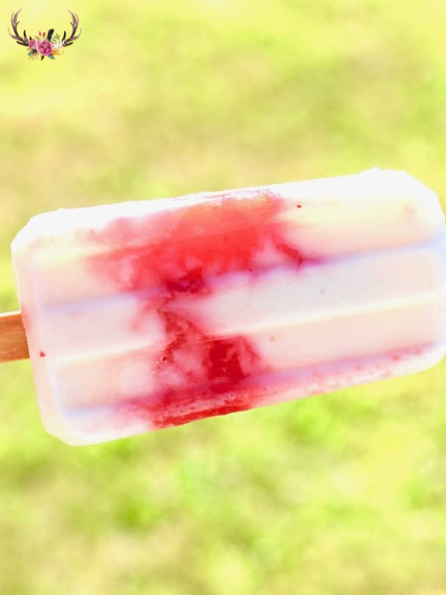 Raspberry Vanilla Ice Pops