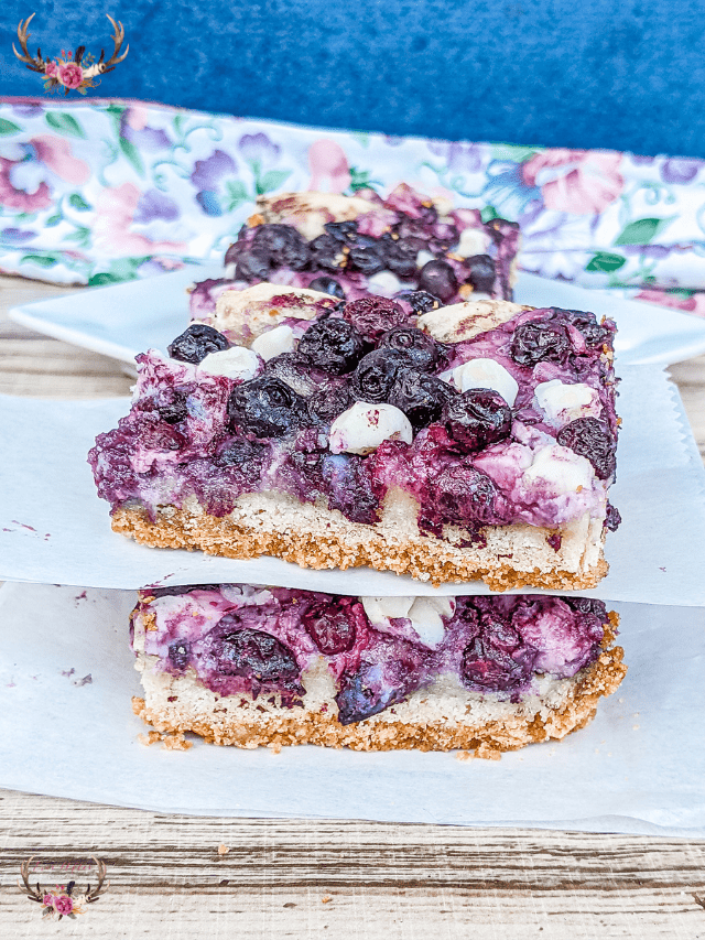 blueberry cookie bars