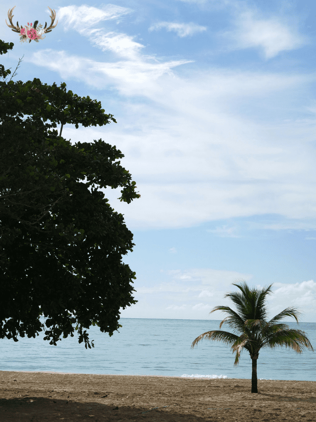 Where to Stay in Punta Cana