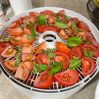 dried tomatoes in olive oil