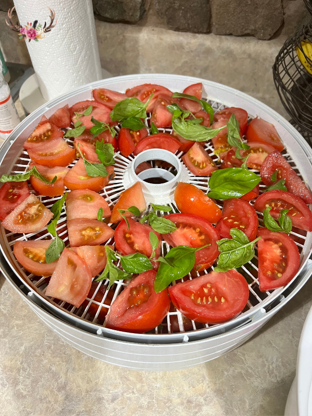 dried tomatoes in olive oil