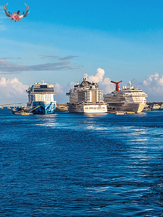 5 Things to Do on the Quantum of the Seas