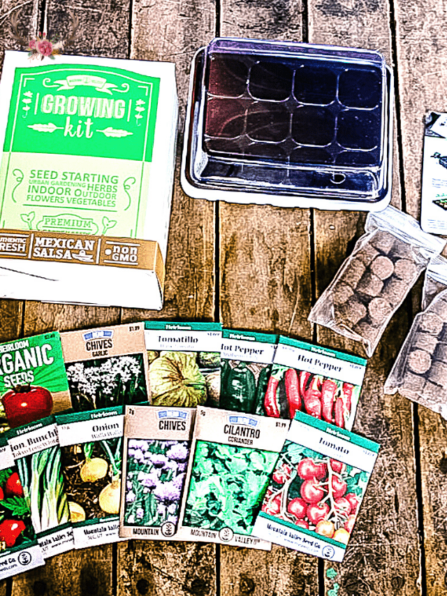 start a garden indoors