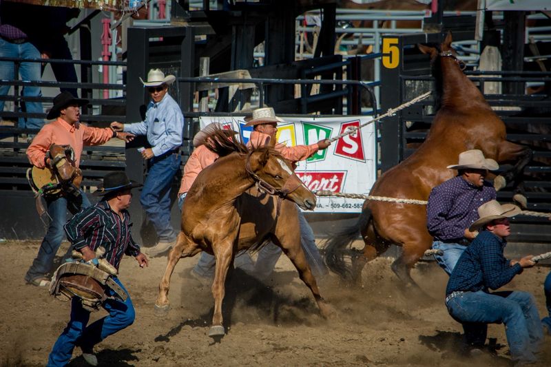 PRCA Rodeo Nights That Steal The Show