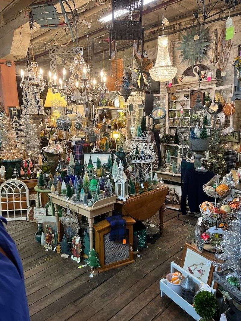 Seasonal Surprises Worth Timing