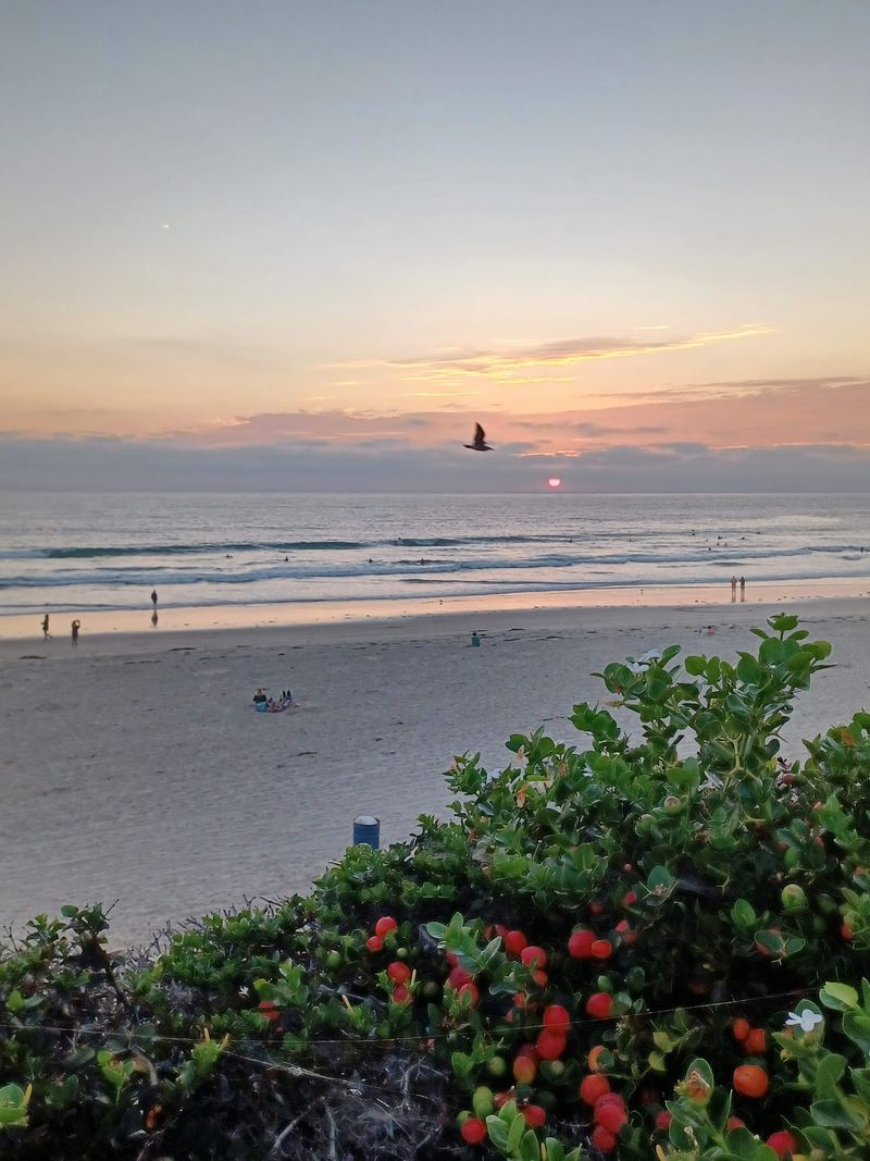 Pacific Beach, Pacific Beach