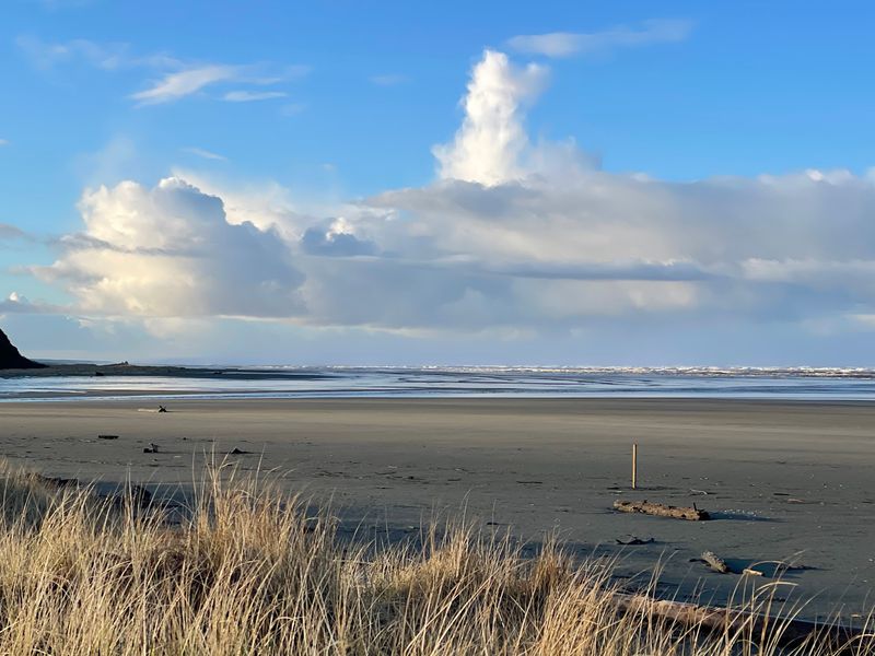 Pacific Beach State Park, Pacific Beach, WA