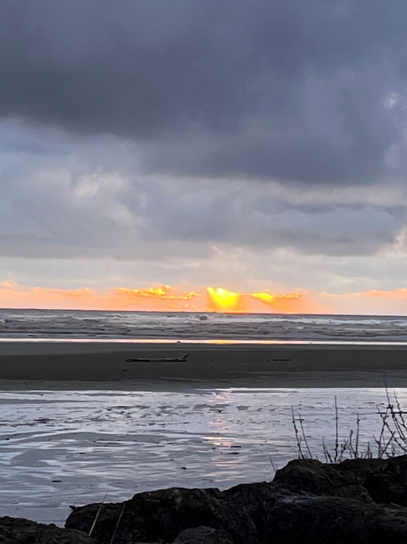 Pacific Beach State Park, Pacific Beach, WA