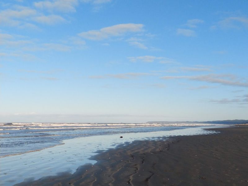 Pacific Beach State Park, Pacific Beach, WA