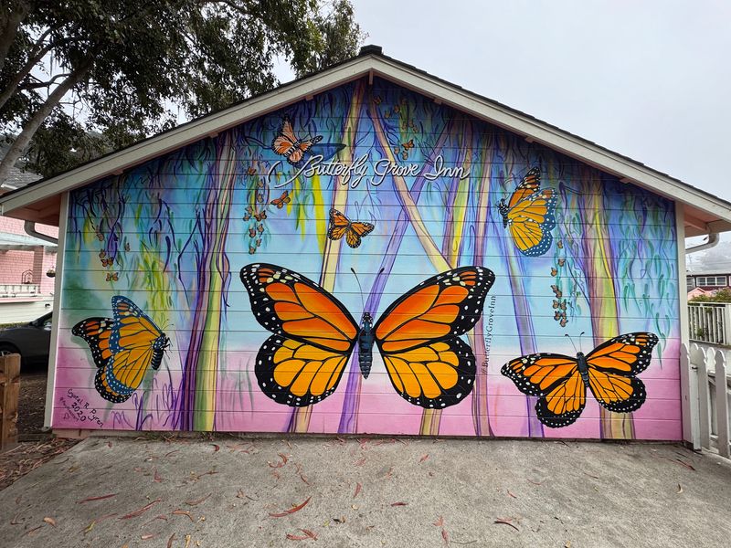 Pacific Grove Monarch Sanctuary Pacific Grove Monarch Sanctuary