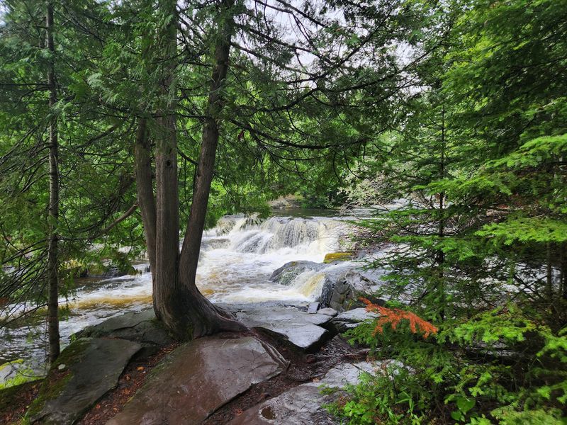 Pack A Lunch Because The Picnic Spots Are Ready