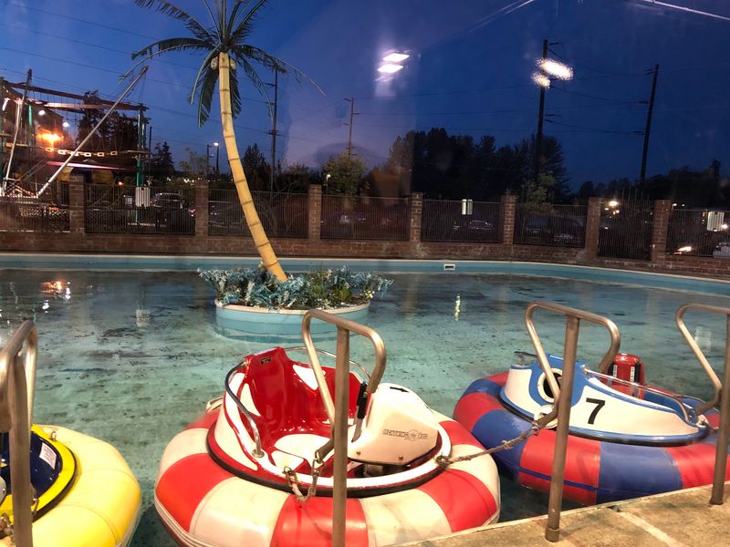 Pack A Towel Before Tackling The Bumper Boats Pack A Towel Before Tackling The Bumper Boats