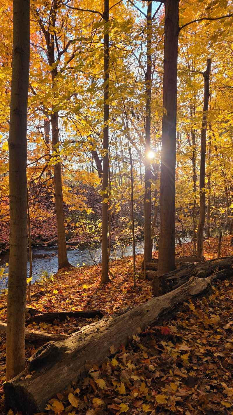 Pack For A Michigan Fall Day