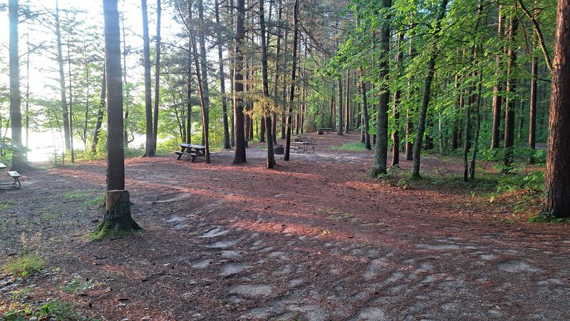 Pack For A Truly Rustic Stay