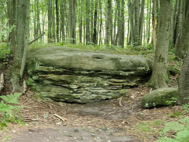 Treat It As A Living Sacred Place