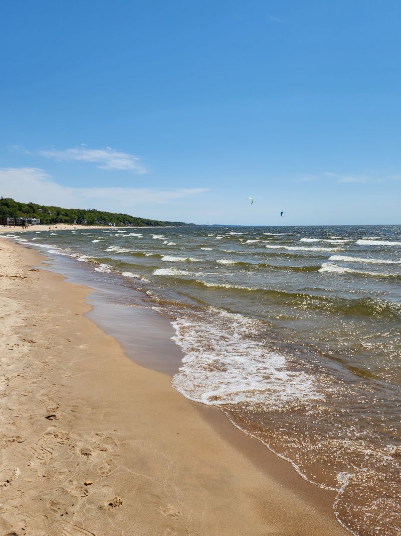Pack For Sand Instead Of Forest