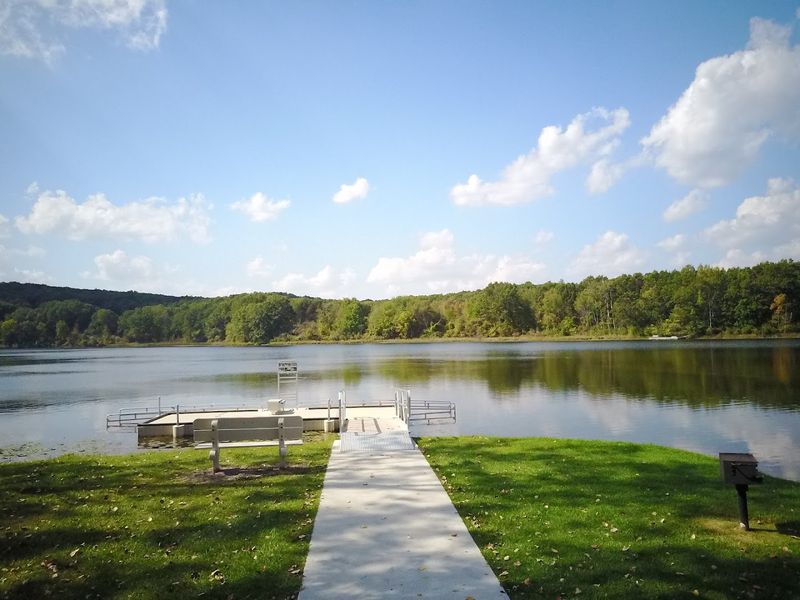 Bring The Dog, But Follow The Rules