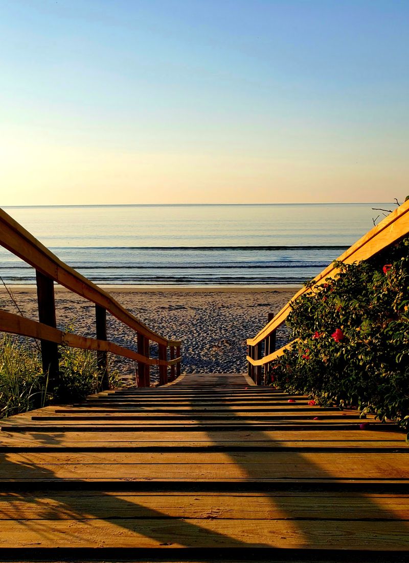 Pack Pet Food And Leave Room For Ocean Views