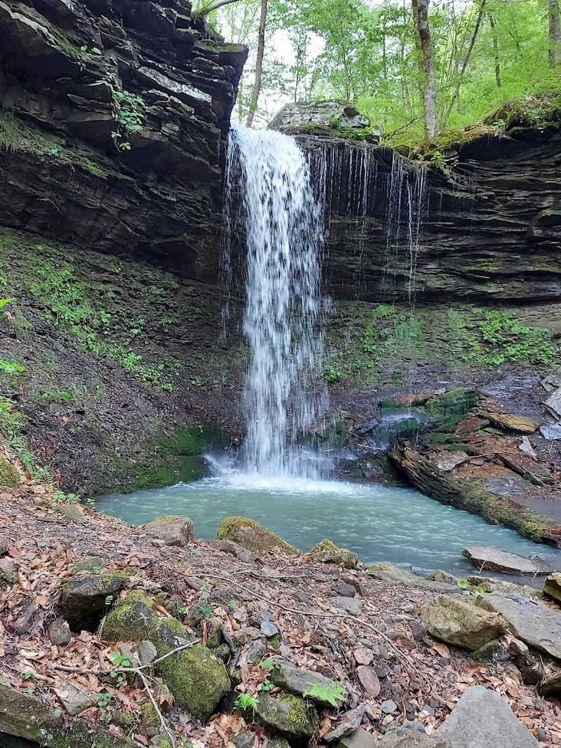 Pack Rat Falls