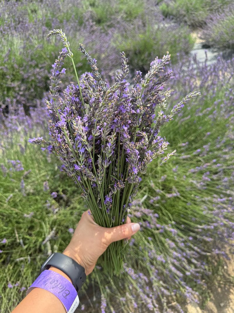 Pack Water For The Flowers
