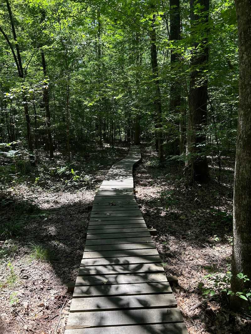 Pack Your Sneakers Because 100 Miles Of Greenways Are Waiting