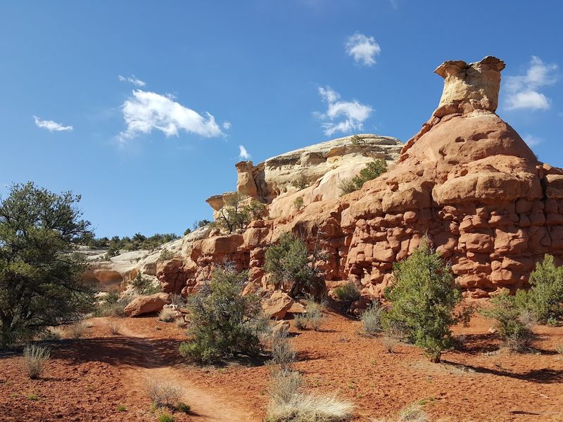 Making It a Mini Adventure Around Cortez