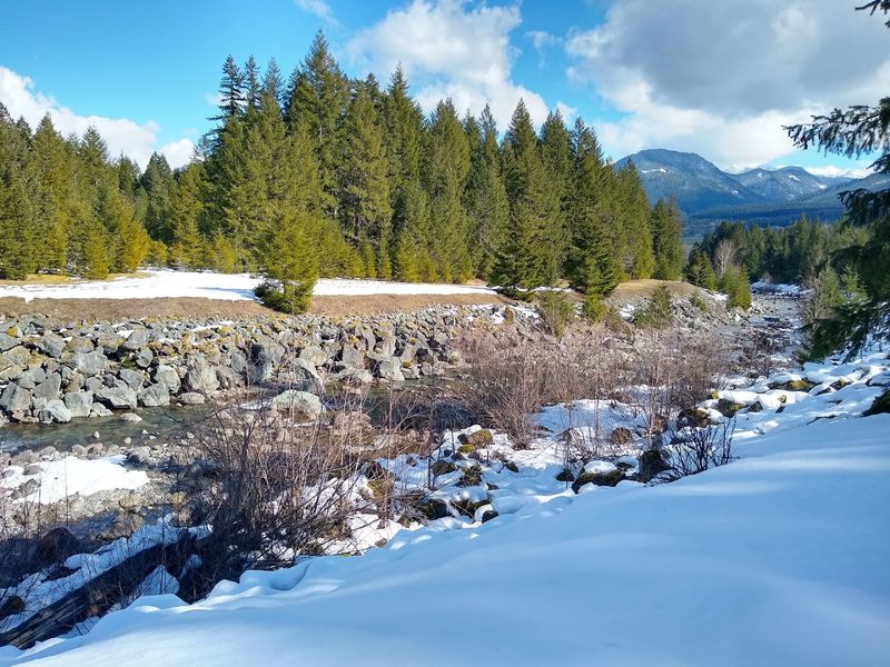 Packwood, Washington