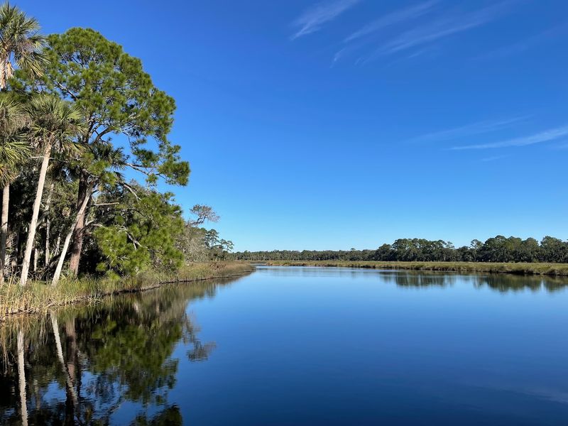 Paddle A Calm Creek Where Manatees Might Say Hello