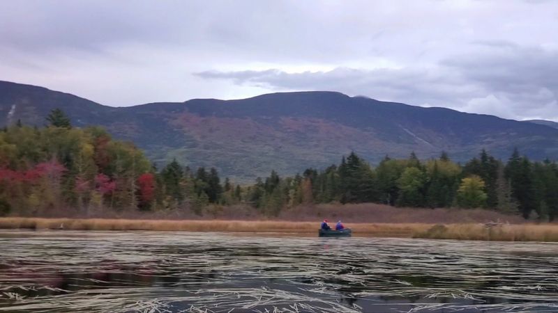 Paddle A Quiet Pond On The Honor System Paddle A Quiet Pond On The Honor System
