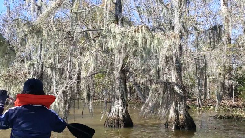 Paddle Nearly 14 Miles Of Swampy, Sloughy Goodness