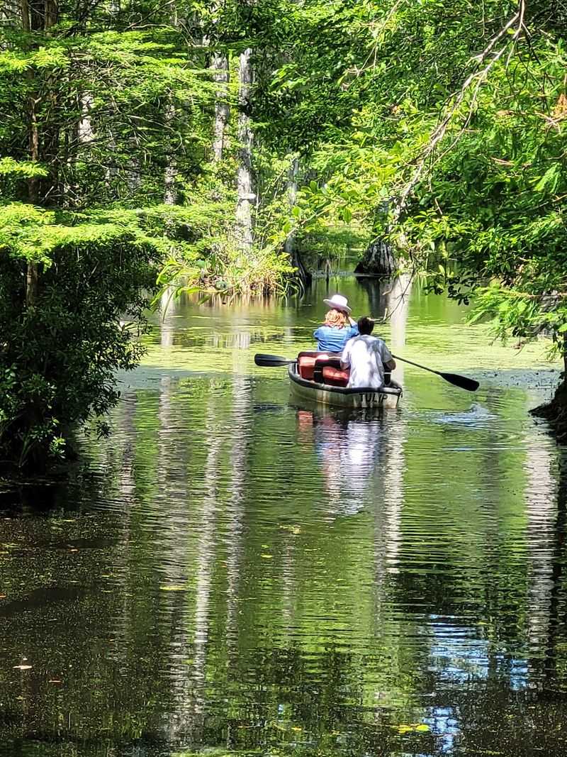 Paddle Your Own Boat Through The Trees