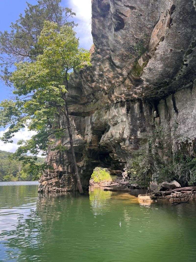 Paddleboard Views In The Hollow